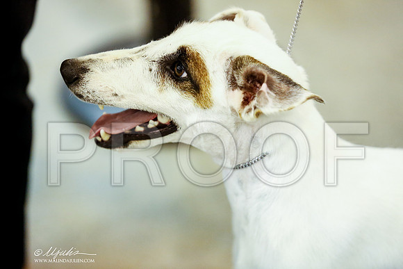 _JJ_6706-DalJul2014-HR3