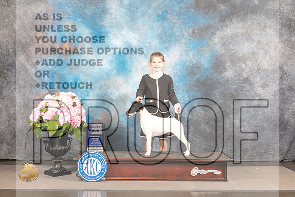 Smooth Fox Terrier #11 Sat WD Judge Barbara Alderman_MJ_7335_Houston_2022_HR3