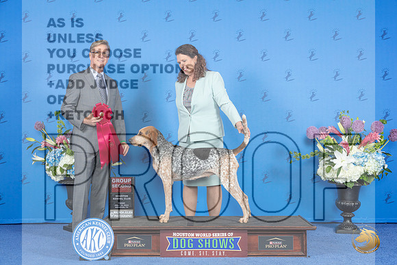 American English Coonhound#6 FRI G2 Judge Douglas Jognson__JP_9380_Houston_2024_HR3