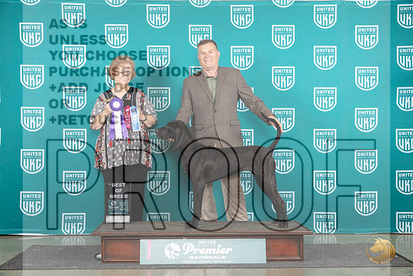 Plott Hound #698 Fri BOB Judge Corianna Glenn__JP_1703_Premier_2024_HR3