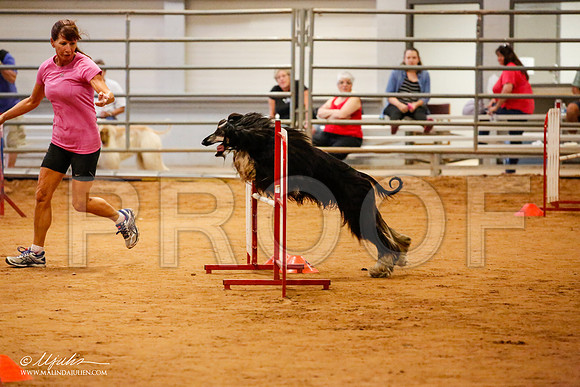_JN_2955-AfgBeltonOct2014-HR3