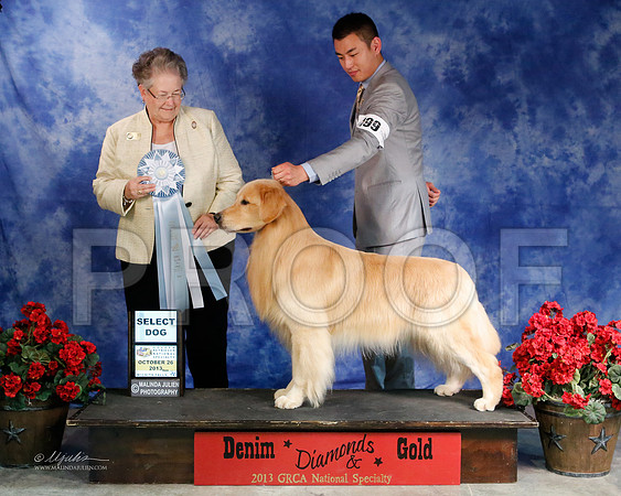 SD-5096-WFOct2013-HR