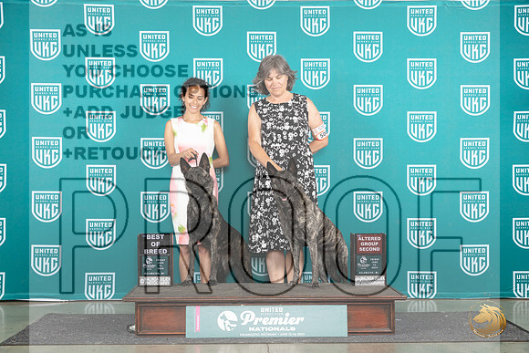 Dutch Shepherds #500 AG2 #193 BOB Judge Stan Matsumoto__JP_1878_Premier_2024_HR3