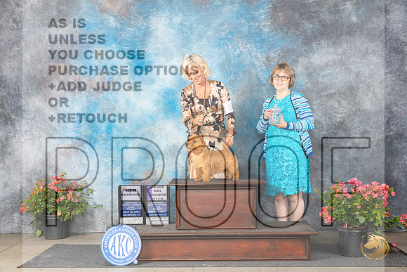 Norwich Terrier #42 Fri WB Judge Elizabeth ‘Beth’ Sweigart__JP_4061_San Antonio_2024_HR3