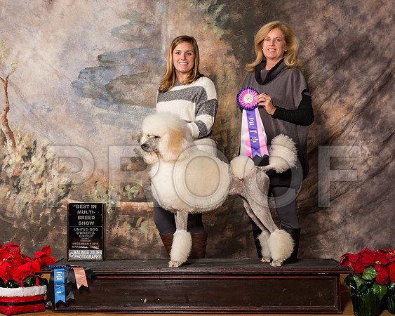 _ST_1489-MrshllDec2016©JulienLambertPhoto.com-HR3