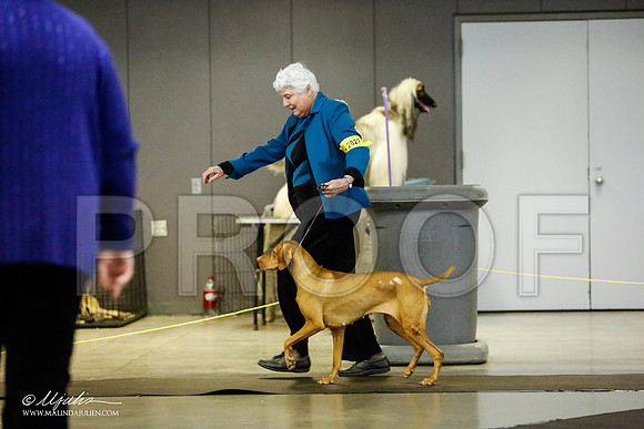 _RH_1204-BeltonJan2015IABCA-HR3