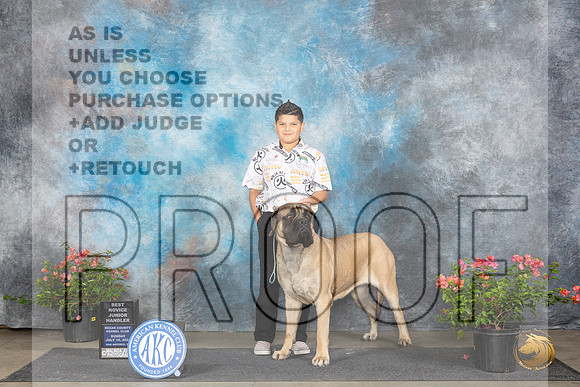 Mastiff #J101 Sun NOVJr1 Judge Karen McFarlane__JP_6155_San Antonio_2024_HR3