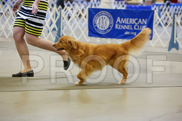 _JJ_2199-AmarilloSept2014-HR3