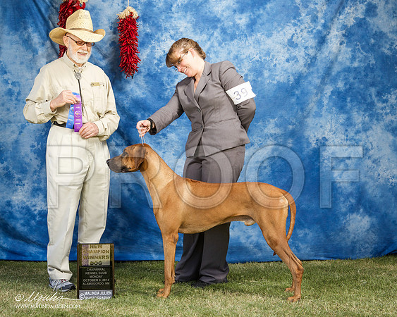 _ST_3705-AlamogordoOct2014-HR3