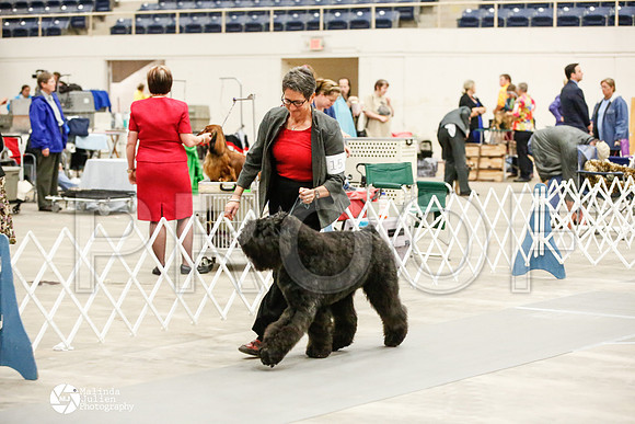 _JJ_1042-AblnMay2014-web