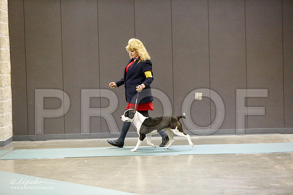 _RH_0368-BeltonJan2015-HR3
