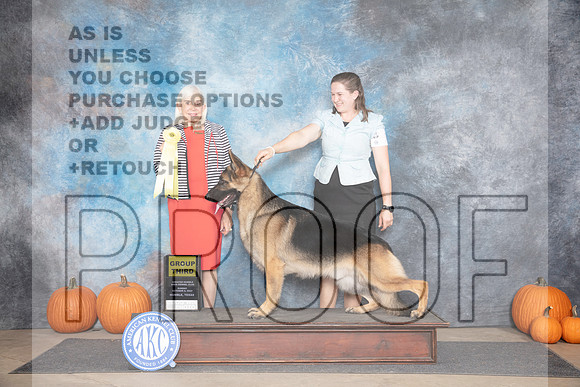 German Shepherd Dog #7 Sun G3 Judge Jan Paulk__JP_9569_Humble_2024_HR3