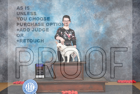 French Bulldog #5 Sun BOBOHBOB Judge Ann Catterson__JP_0624_Sulphur Springs_2024_HR3