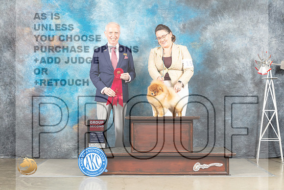 Pomeranian #15 Fri G2 Judge Fred Bassett_MJ_4192_Amarillo_2022_HR3
