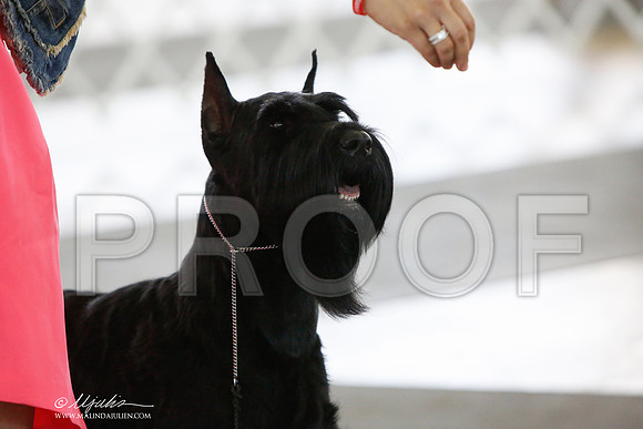 _JJ_9491-DallasJul2014-HR3