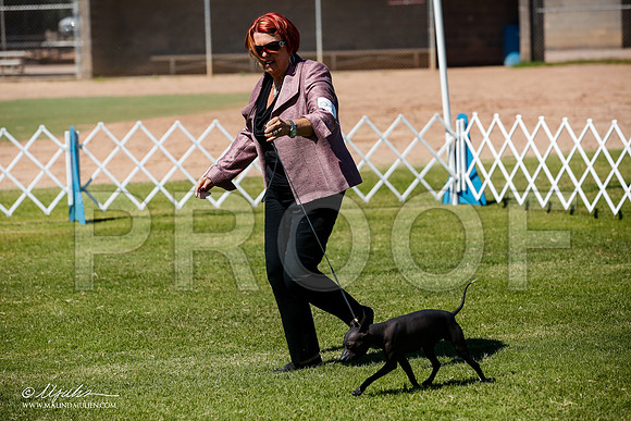_JJ_7977-AlamogordoOct2014-HR3