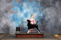 Poodle Standard #112 Sat Sun PreJR 1 place Judge Jennifer Landers Matthew Proctor