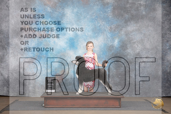 Poodle Standard #112 Sat Sun PreJR 1 place Judge Jennifer Landers Matthew Proctor__JP_2847_LongviewTX_2024_HR3