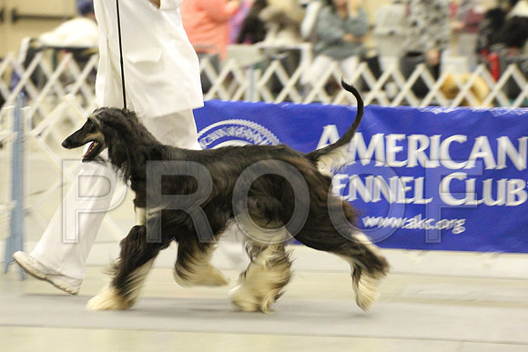 MJS_0034