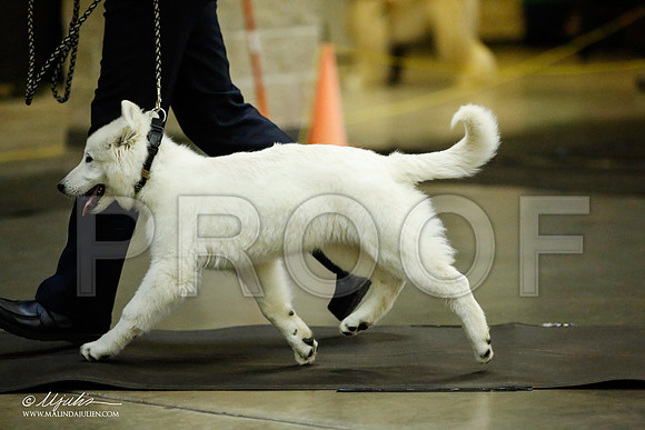 _JJ_6171-BeltonJan2015IABCA-HR3