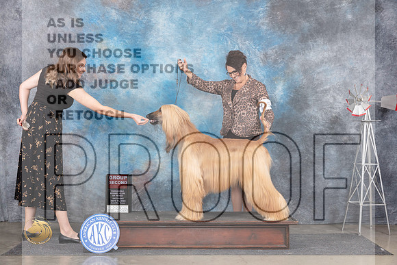 Afghan Hound #6 Sat G2 Judge Pat Trotter__JP_5982_Amarillo_2024_HR3