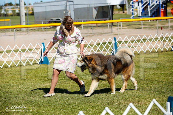 _JJ_0248-AlamogordoOct2014-HR3