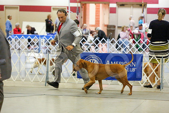 _JJ_3810-AmarilloSept2014-HR3