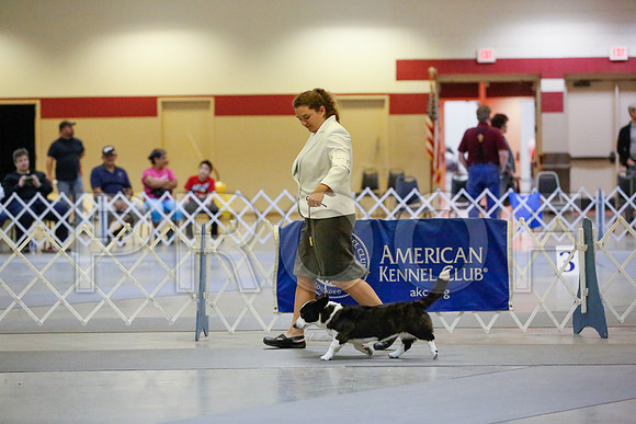 _JN_1028-AmarilloSept2014-HR3