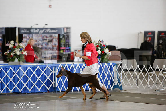 _JJ_3333-DallasJul2014-HR3