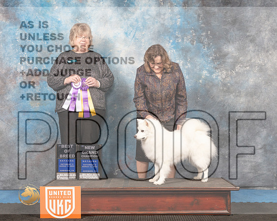 American Eskimo #181 Sat2 BOB Judge Pam Moore_MMJ_6377_Addison2022_HR3