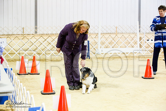 _JJ_7018-ASCACollegeStationNov2014-HR3