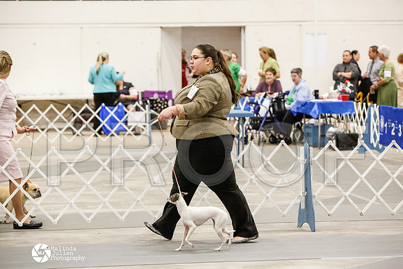 _CK_6049-AblnMay2014-web