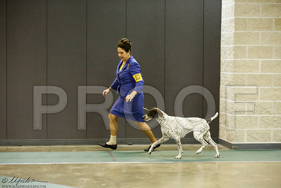 _J3L9267-BeltSep2014-HR