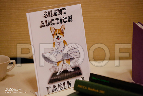 _JJ_9230-HstnCorgiFeb2015-HR3