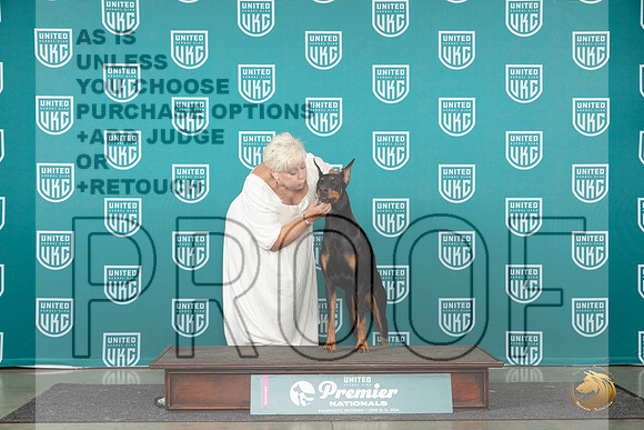 Doberman Pinscher #1263 Sat COC1 Judge Lori Sargent__JP_2118_Premier_2024_HR3