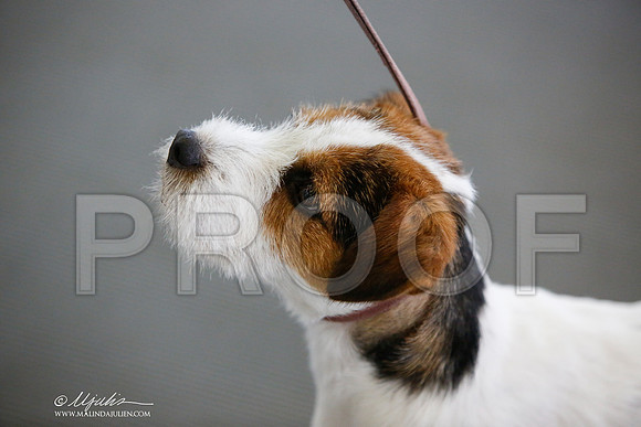 _JJ_2238-DallasJul2014-HR3