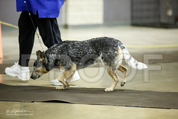 _JJ_6074-BeltonJan2015IABCA-HR3