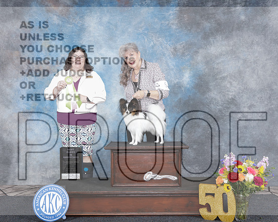 Papillon #5 Sat BPup Sweeps Judge Sherry Patton-_WP_3978e_Houston Toy Show 2025-HR3