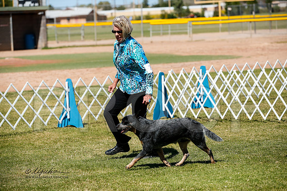 _JJ_3675-AlamogordoOct2014-HR3
