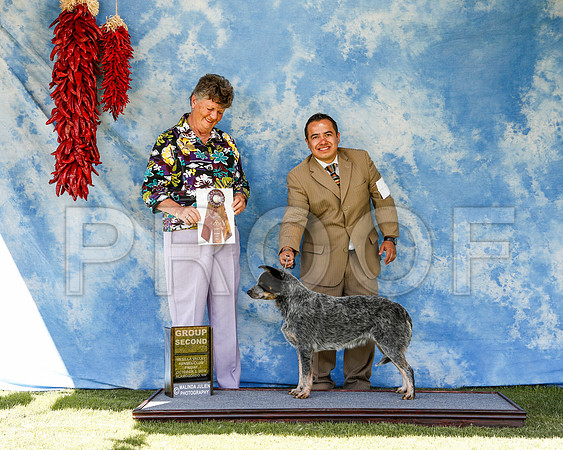 _ST_2786-2-AlamogordoOct2014-HR3