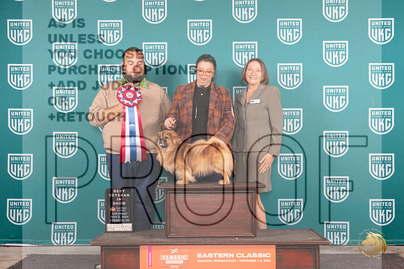 Tibetan Spaniel #318 Sat VBIS Judge William Chrazanowski__JP_2141_UKCEastern_2024_HR3
