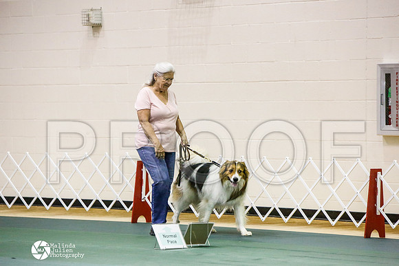 _JJ_3396-BsrCtyJun2014-HR3