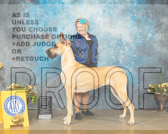 Great Dane #18 Sun OHG3 Judge Jim Fehring-MMJ_1713-NWARK2022-HR3