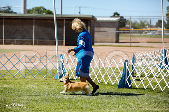_JN_9153-AlamogordoOct2014-HR3