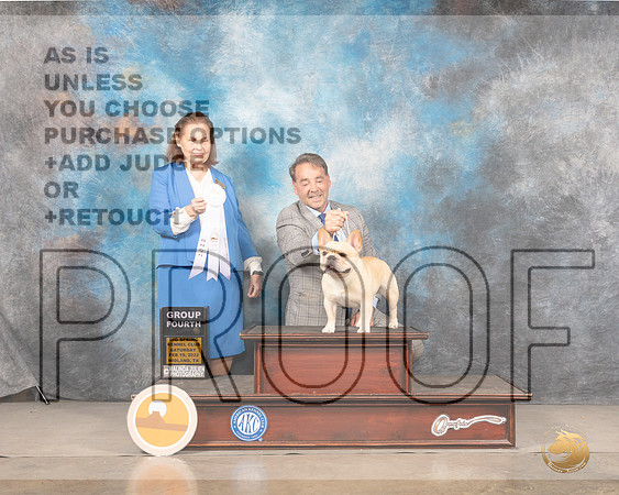 French Bulldog #23 Sat G4 Judge Donnelle RichardsMMJ_4715_Mdlnd2022_HR3