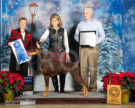 _ST_8257-DallasDec2014-HR3