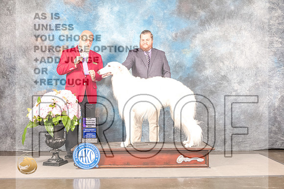 Borzoi #11 Sun WD Judge Jeff BazellBorzoi #11 Sun WD Judge Jeff Bazell_MJ_7727_Houston_2022_HR3_Houston_2022_HR3