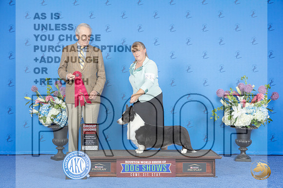 Cardigan Welsh Corgi #21 SAT G2 Judge James Moses__JP_0047_Houston_2024_HR3