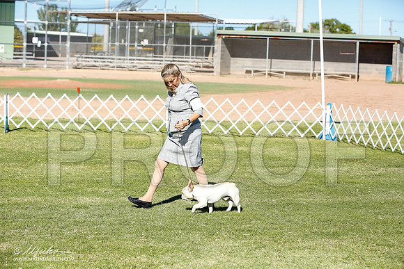 _JN_8458-AlamogordoOct2014-HR3
