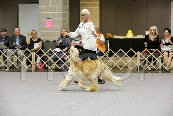 _JJ_8160-AfgBeltonOct2014-HR3